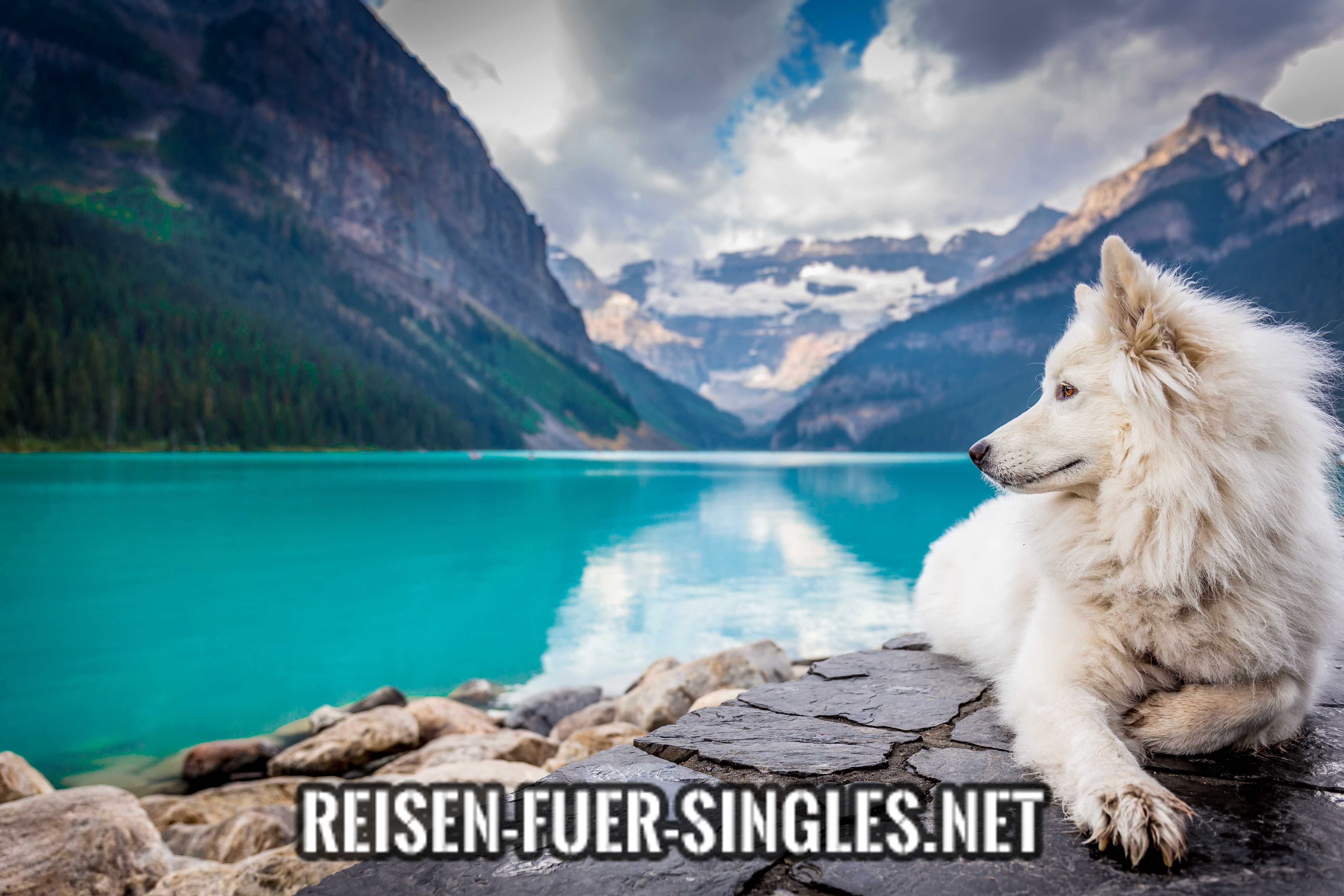 Reisen für Singles mit Hund